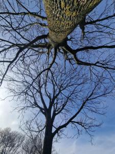 Maisons d'hotes Jade room - 20 min to Paris : photos des chambres