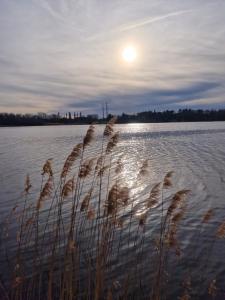 Maisons d'hotes Sapphire room - 20 min to Paris : photos des chambres