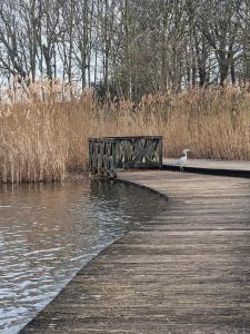 Maisons d'hotes Diamond Room - 2O min to Paris : photos des chambres