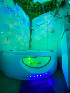 Balnéo dans cadre enchanteur - Savigny