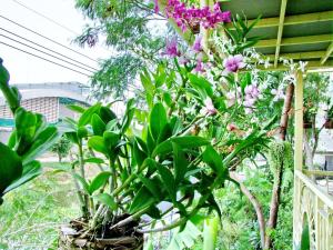 At Ease Hotel Suvarnabhumi