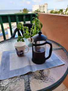 Airy Seaside Apartment, Hastings Barbados