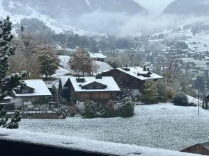 Charming Flat in the Heart of Saanen - 施康里埃德