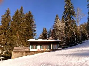 Ski-In Chalet in top location - Saanenmöser-hágó