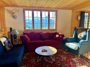 Ski-In Chalet in top location