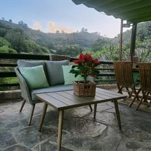 Entre Viñedos - Pico de Viento