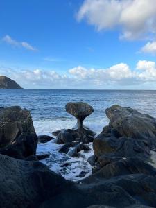 Amazing home in the heart of Nordfjordeid