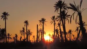 La Rose des Sables - Zaouia Sidi Abdallah Ben Sassi