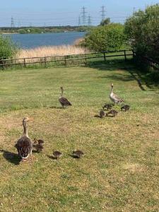 Lake View Suite, Romney Marsh