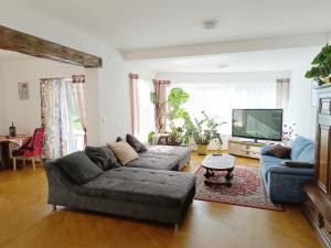 Appartements 145m2 Grand Appartement proche Bale : photos des chambres