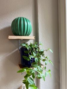 Appartements Gite See You Soon - Studio Wood : photos des chambres