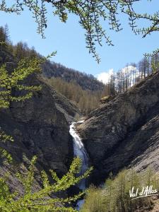 Appartements Studio a La Foux d -Allos : photos des chambres