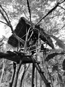 The Treasure - Habarana