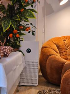 Comfy Stay in Hillside Nimman