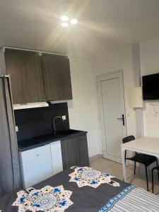 Appartements Charmant & LUXURY studio Paris Montreuil : photos des chambres