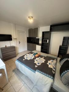 Appartements Charmant & LUXURY studio Paris Montreuil : photos des chambres