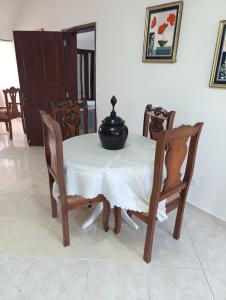 acuario residencial 2