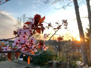 Ferienwohnungen Willrich