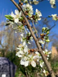 Ferienwohnungen Willrich