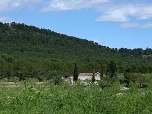 Casa Rural Sierra Espuña - El Niño