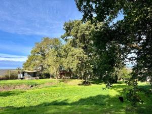 Maisons de vacances Wooden Cabin - Outdoor Kitchen - Superb Location! : photos des chambres