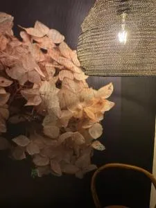 LUZZ me - Casa das Doze Ribeiras - Serreta