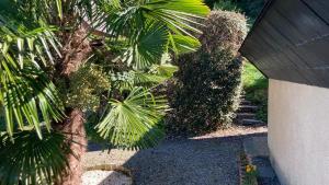 Maisons de vacances Gites de Stouet : photos des chambres