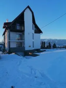 Vila Teos Fundata - Фундэцика