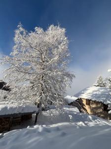 Chalets Chalet Rouge ou Blanc : photos des chambres