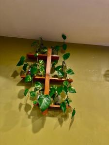 Hotel Homeland and Restaurant