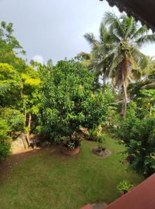 Ranmal Holiday Inn