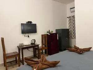 Palm paradise anjuna - Anjuna