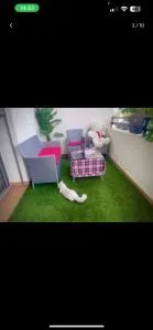 Mark - Sidi Yahia az Zaʼer