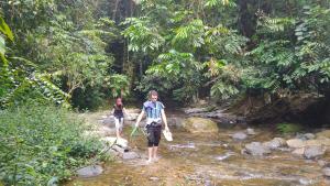 Pongo Guest House & jungle trekking