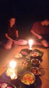 Pongo Guest House & jungle trekking