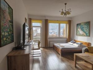 Zielona Przystań Apartament z widokiem na Pieniny