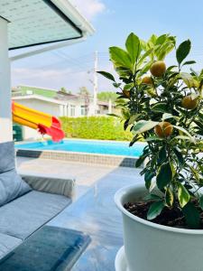 Victoria Poolvilla Pattaya by Chon - 3hvězdičkové hotely ve městě Nong Prue