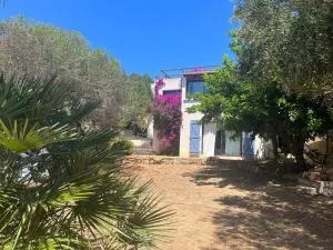 Maison à 50 mde la plage, pour 10 personnes en Corse du sud, - 科蒂基亚瓦里
