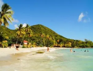 Une chambre proche de l anse figuier - Chevalier