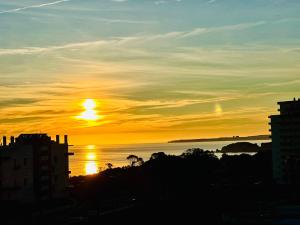 Paradise Sunshine Studio