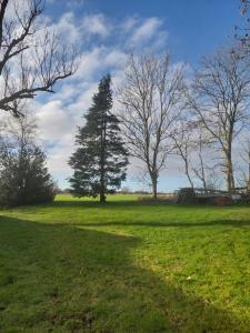 Krogsgaardens Bed and Breakfast