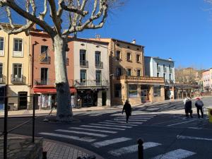 DUPLEX REP 10 COEUR de COLLIOURE