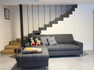 Apartmán I&N Janov nad Nisou