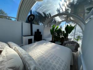 SKD Casa Amarilla Suite Rivera