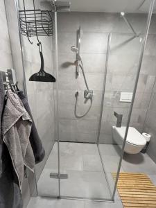 Apartmán I&N Janov nad Nisou