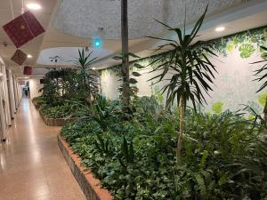 5 min walk from Yumbo 216