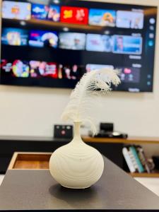 شقة فندقية فخمة الشيخ زايد