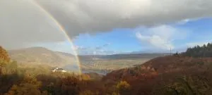 BelaVista'nBed - Peaceful and Private Studio with Amazing Mosel Valley View - Ürzig