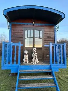 Les Roulottes des amis de Wonky - Rétaud