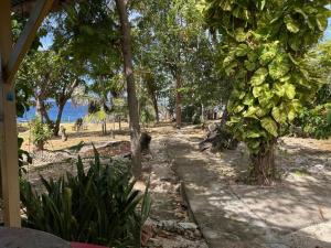 3Dives Cliffside Rooms